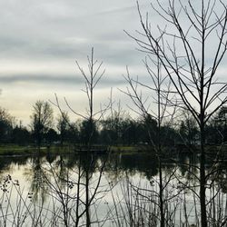 Nomehegan Park