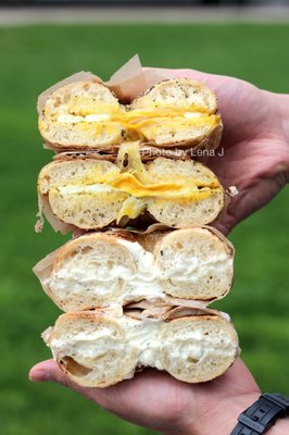 Bagelsaurus by null
