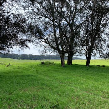 Paniolo Adventures - Horseback ride - Horseback Riding Near Me