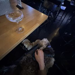 Dogs Dogs