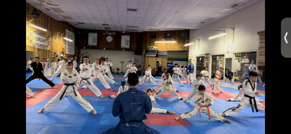 Hong's USA Taekwondo Logo