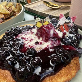 Sugar and Scribe - Blueberry pancakes - Bakeries Near Me - La Jolla, California Sugar and Scribe - Blueberry pancakes - Bakeries Near Me - La Jolla, California