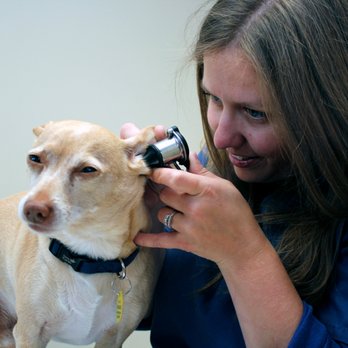 Gloucester Veterinary Hospital - Veterinarians Near Me - Ottawa, Ontario Gloucester Veterinary Hospital - Veterinarians Near Me - Ottawa, Ontario