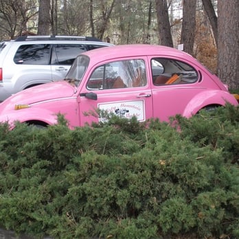 Misty Mountain Gourmet Shoppe - a pink vw beetle - Specialty Food Near Me - Ruidoso, New Mexico Misty Mountain Gourmet Shoppe - a pink vw beetle - Specialty Food Near Me - Ruidoso, New Mexico