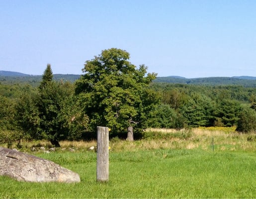 Sweetgrass Farm Winery and Distillery by null