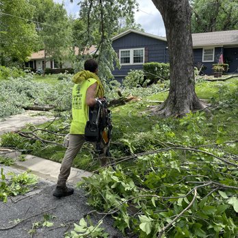 Cartwright Tree Care - Tree Services Near Me - Grandview, Missouri Cartwright Tree Care - Tree Services Near Me - Grandview, Missouri
