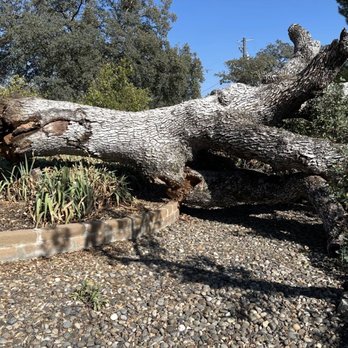 AshPeak Fire Solutions - Tree Services Near Me