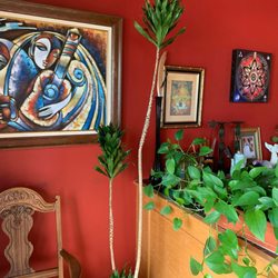 Bliss Yoga - Front desk