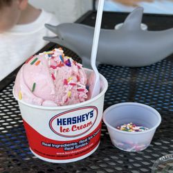 Pass Ice Cream Palace