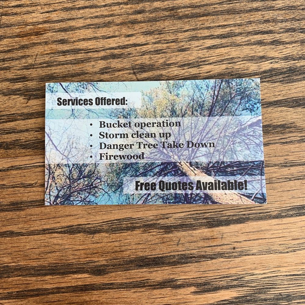 Cash Tree - Tree Services Near Me Cash Tree - Tree Services Near Me