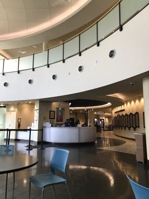 ORLANDO HEALTH WINNIE PALMER HOSPITAL FOR WOMEN & BABIES - Updated