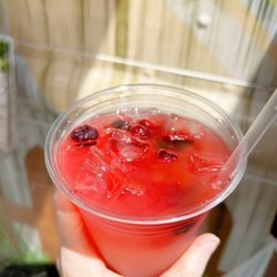 Garden Diva Hummus - Mixed berry lemonade