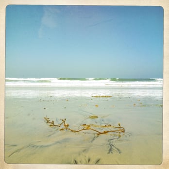 Beacon's Beach - Our day at Beacon's Beach - Beaches Near Me - Encinitas, California