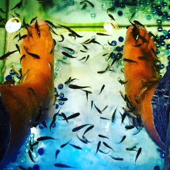 Dottor Fish - Fish pedicure - Day Spas Near Me - Venezia, VE Dottor Fish - Fish pedicure - Day Spas Near Me - Venezia, VE
