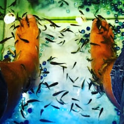 Dottor Fish - Fish pedicure