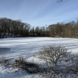 Beaver Brook Reservation