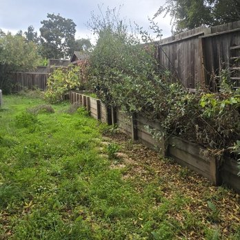 9 Line Landscaping - Landscaping Near Me - Napa, California