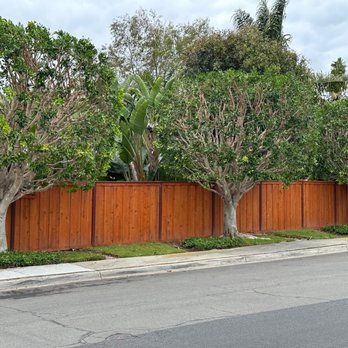 Pena Tree Service - After...what a great difference! - Tree Services Near Me Pena Tree Service - After...what a great difference! - Tree Services Near Me