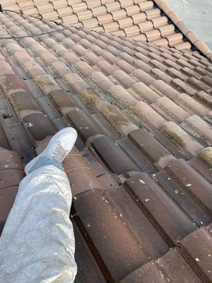 Valley Exterior Maintenance