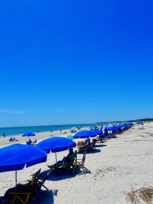 The Westin Hilton Head Island Resort & Spa by null