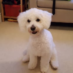 A & S Petcare - What a lovely smile!