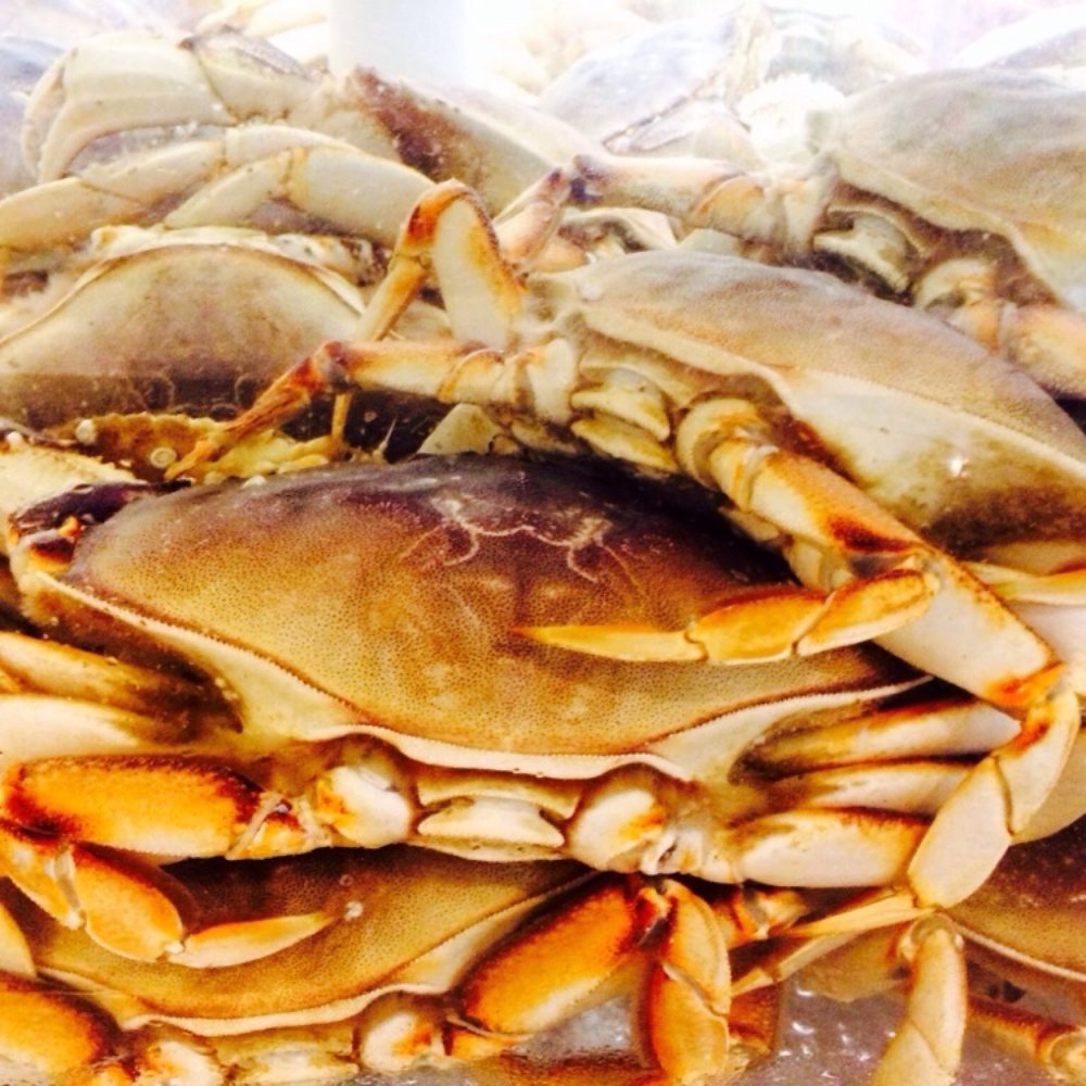 99 Ranch Market - Seafood Markets Near Me - Dublin, California 99 Ranch Market - Seafood Markets Near Me - Dublin, California