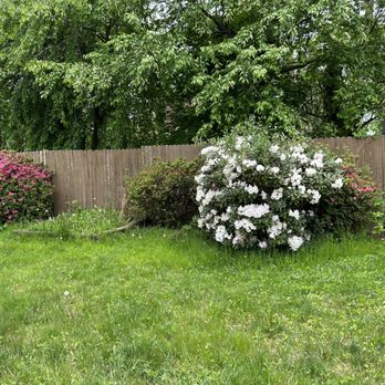 Andrade - Before - Landscaping Near Me Andrade - Before - Landscaping Near Me