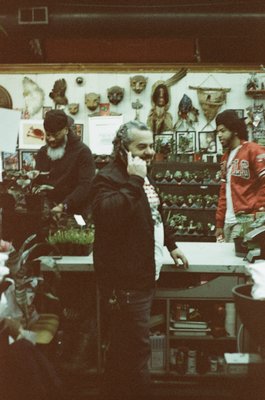 Adams & Son & Daughter Gardens by null