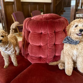 Enders - You may meet Mazee and Jaxcee! - Hotels Near Me - Soda Springs, Idaho Enders - You may meet Mazee and Jaxcee! - Hotels Near Me - Soda Springs, Idaho
