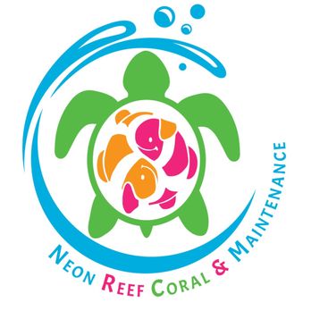 Neon Reef Aquatics - Aquarium Services Near Me - Ferndale, Washington Neon Reef Aquatics - Aquarium Services Near Me - Ferndale, Washington