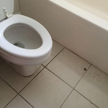 Scrubbers Cleaning Service - Still see dirt on floors in bathroom. - Office Cleaning Near Me - Wilmington, North Carolina