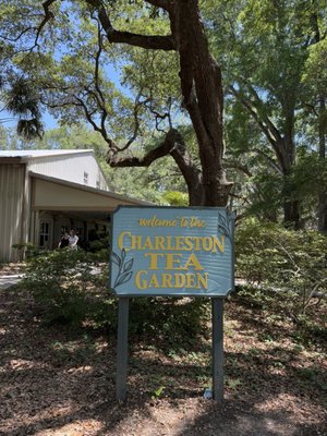 Charleston Tea Garden by null