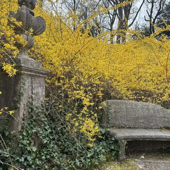 Dumbarton Oaks - Botanical Gardens Near Me - Washington, DC, District of Columbia