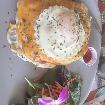 Bulegreen Cafe Yard - Croque Tex - Cafes Near Me - Oakland Park, Florida Bulegreen Cafe Yard - Croque Tex - Cafes Near Me - Oakland Park, Florida