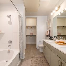 Reveal Lake Ridge Apartments - Soaking Tub and Stand-Up Shower