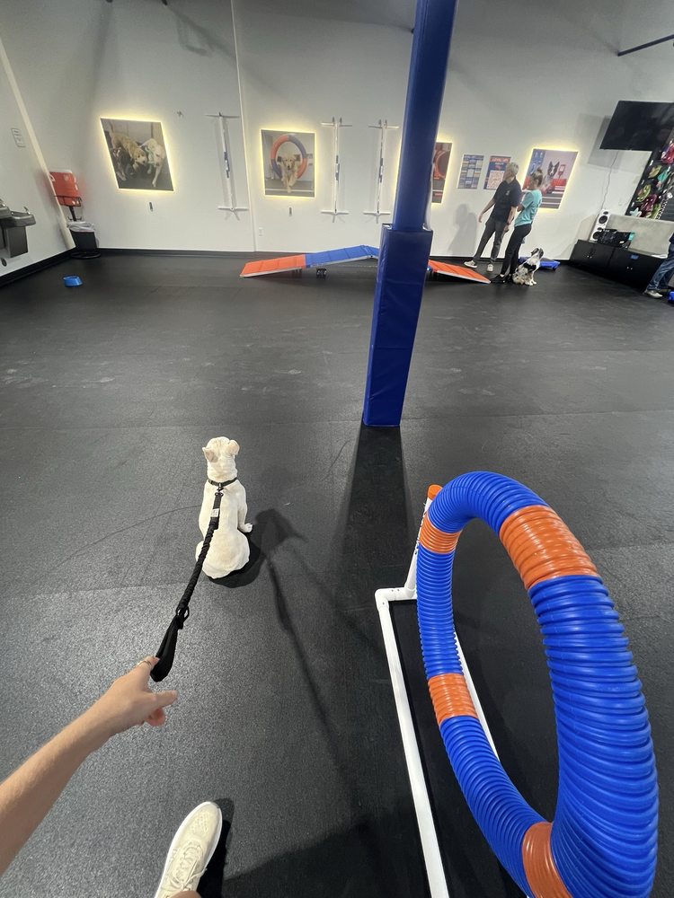 Zoom Room Boynton Beach Image