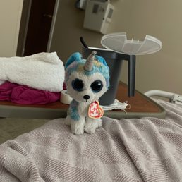 Therapy unicorn doggie Therapy unicorn doggie
