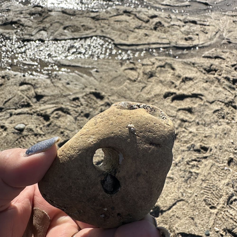 Fitzgerald Marine Reserve - Parks Near Me - Moss Beach, California