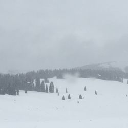 San Juan Adventures - Lizard's Head off in distance
