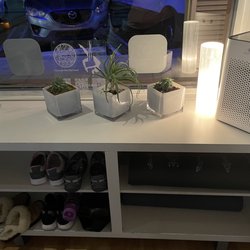 Fly and Flow Fitness - Shoe area
