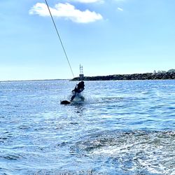 Salty Dog Water Sports - Wakeboarding