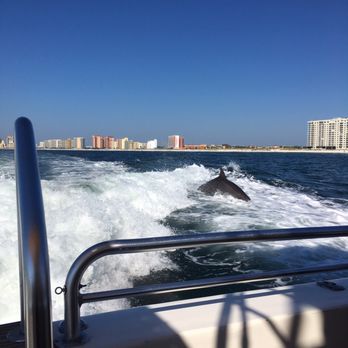 Cruise Orange Beach Dolphin Cruises - Boating Near Me - Orange Beach, Alabama Cruise Orange Beach Dolphin Cruises - Boating Near Me - Orange Beach, Alabama