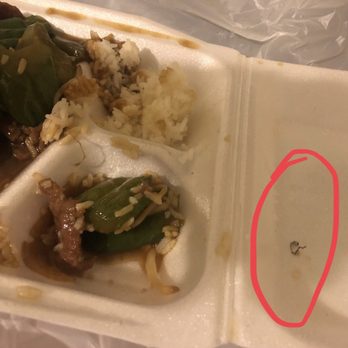 Local Cafe - Chinese Near Me - Cupertino, California