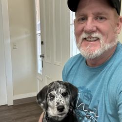 Twin Cedar K9 - Dog