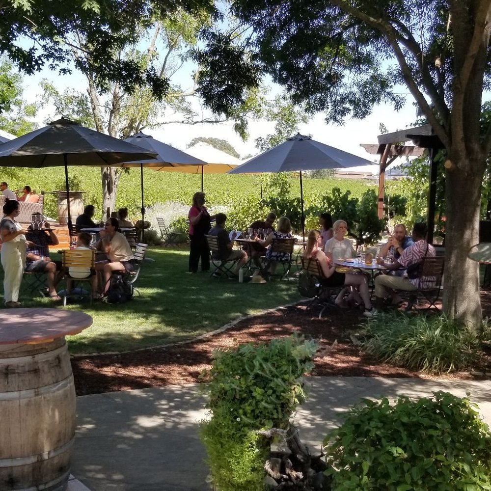 Castoro Cellars - Wineries Near Me - Templeton, California Castoro Cellars - Wineries Near Me - Templeton, California