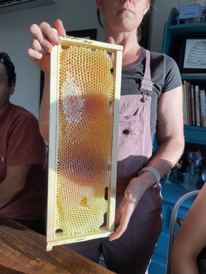 Two Hives Honey by null Two Hives Honey by null