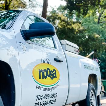 Noosa Pest Management - Pest Control Near Me - Charlotte, North Carolina Noosa Pest Management - Pest Control Near Me - Charlotte, North Carolina