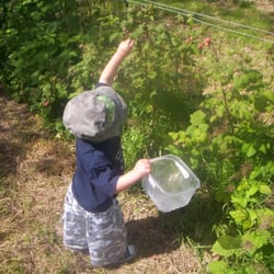 Pick your own Farm