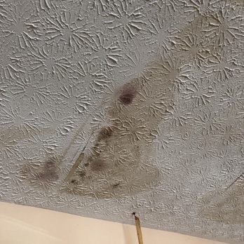 Sylvan Homes - Closer view of mold on ceiling. - Property Management Near Me Sylvan Homes - Closer view of mold on ceiling. - Property Management Near Me