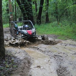 Camp Motorsport - Camp Motorsport Buggies